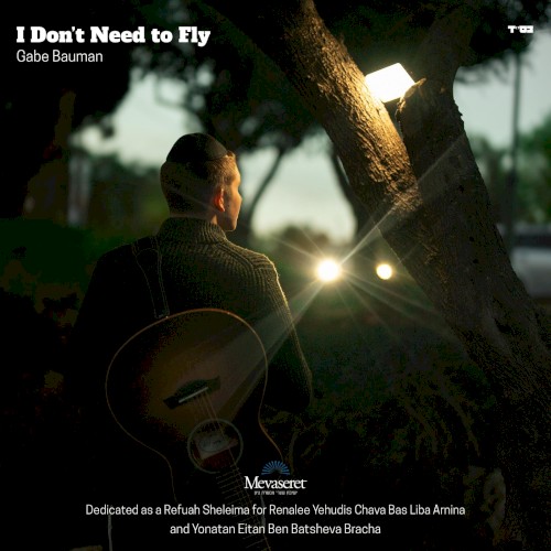 I Don't Need to Fly