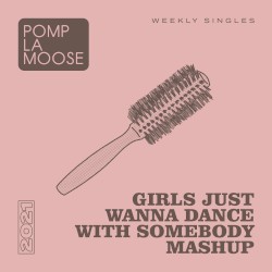 Girls Just Wanna Dance With Somebody Mashup