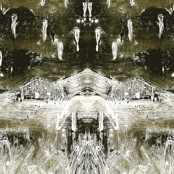 Tadpoles