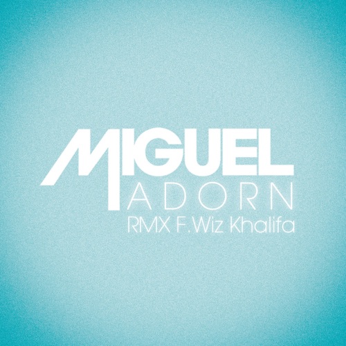Adorn (Remix)