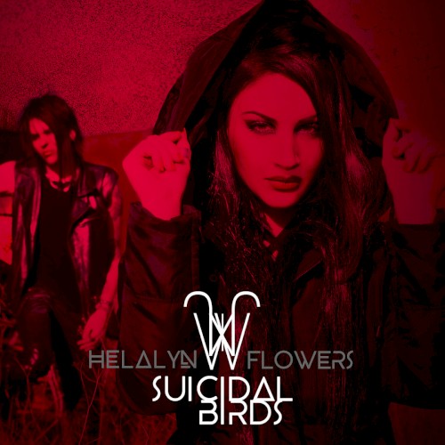 Suicidal Birds