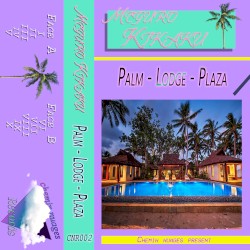 Palm Lodge Plaza