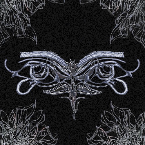 night tapes