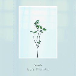 美しさ