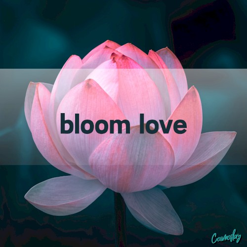 bloom love