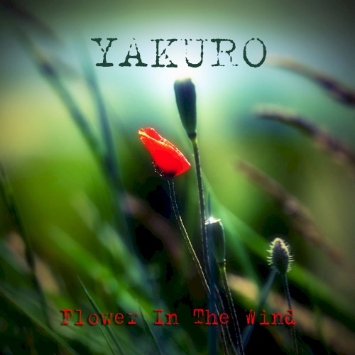 Flower in the Wind
