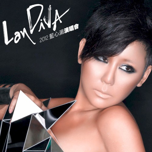 LanDIVA