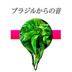 ブラジルからの音