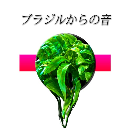 ブラジルからの音