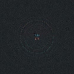 S-1