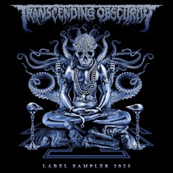 Transcending Obscurity: Label Sampler 2020