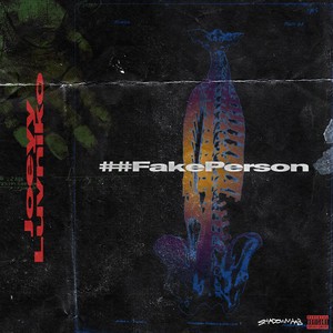 Fake Person