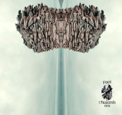 Of Comets and Kings