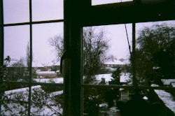Winter