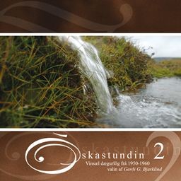 Óskastundin 4