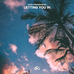 Letting You In
