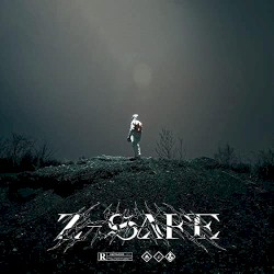 Z-SAFE