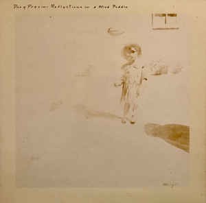 Reflections in a Mud Puddle: Taps Tremors and Time Steps