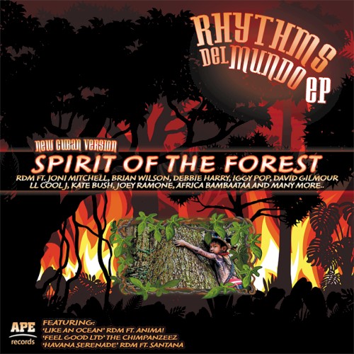Spirit of the Forest
