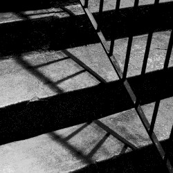 experiments in convalescence