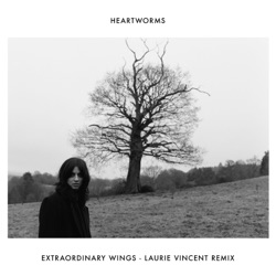 Extraordinary Wings