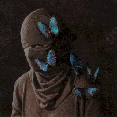 MORPHO