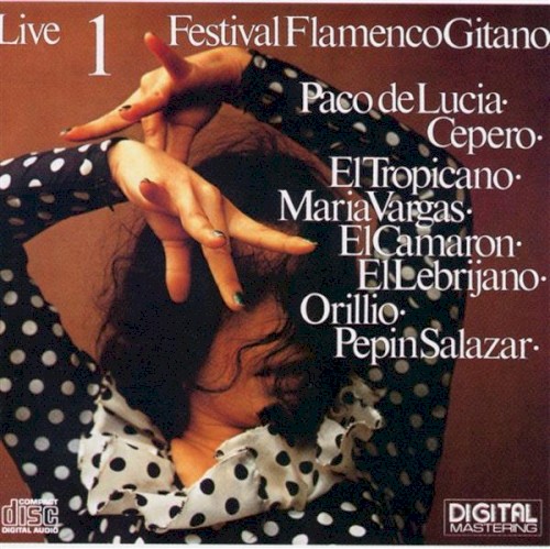 Festival Flamenco Gitano 1 Live