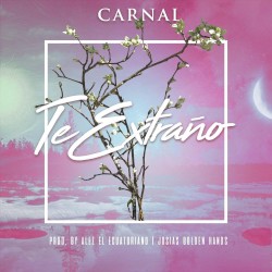 Te extraño