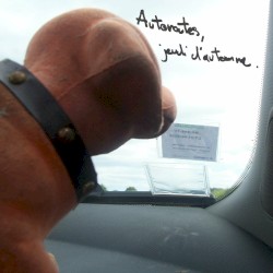 Autoroutes, jeudi d’automne