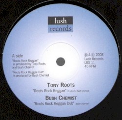Roots Rock Reggae / Youths Dem Dare