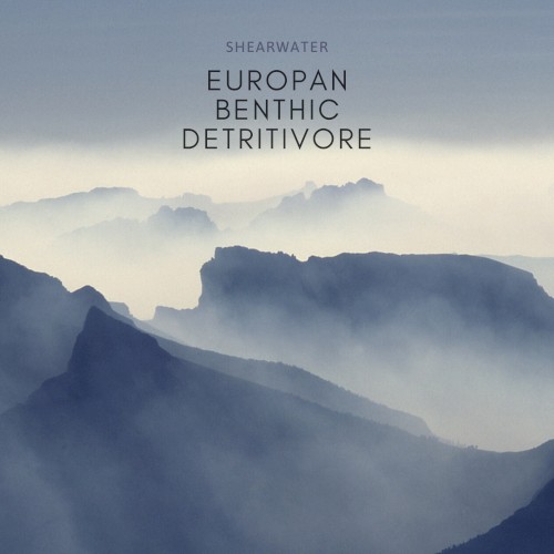 Quarantine Music II: Europan Benthic Detritivore