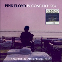 In Concert 1987: A Momentary Lapse of Reason Tour