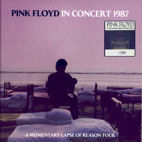 In Concert 1987: A Momentary Lapse of Reason Tour