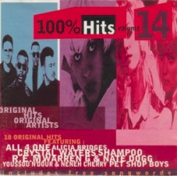 100% Hits, Volume 14
