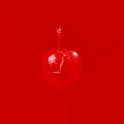Wihout a Heart