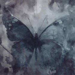 The Butterfly