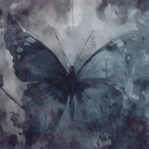 The Butterfly