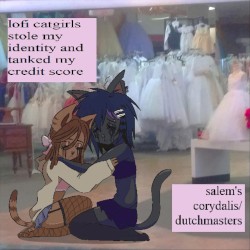 Lofi Catgirls Stole My Identity and Tanked My Credit Score