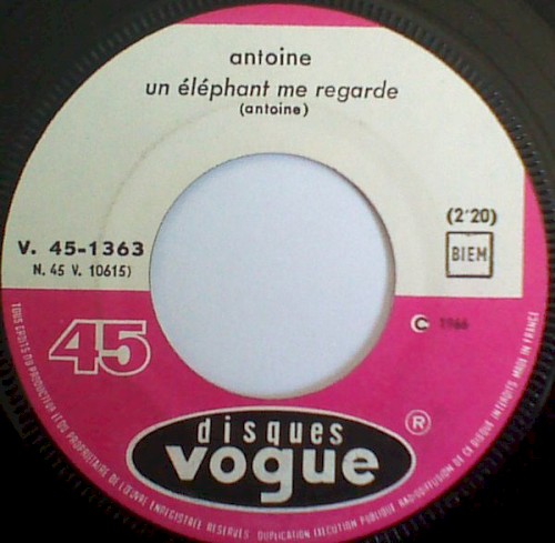 Un éléphant me regarde / Qu’est-ce que je fous ici