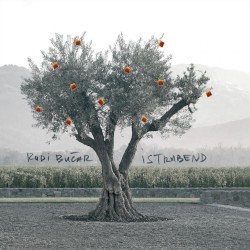 Rudi Bučar & Istrabend