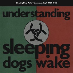 Understanding