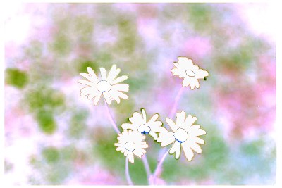 Olafur Karason and the Blurry Flower