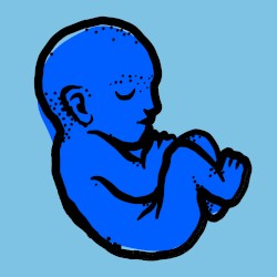 Born