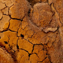 Scorched Earth