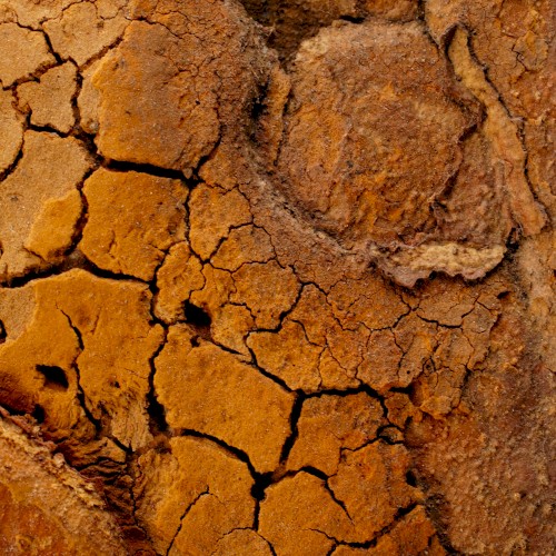 Scorched Earth