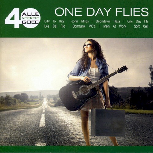 Alle 40 goed: One Day Flies