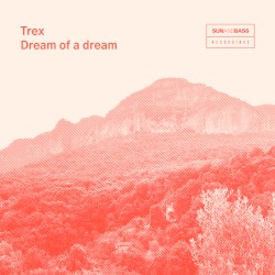 Dream of a Dream