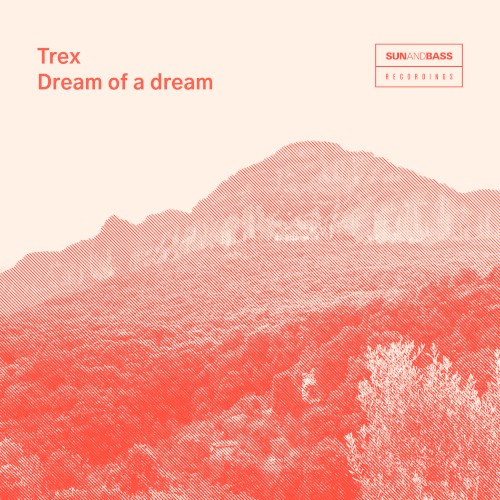 Dream of a Dream