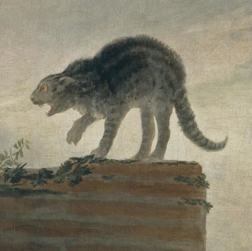 The Rack #13, "A Cat's Flux"