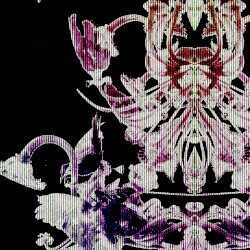 𝘼𝙪